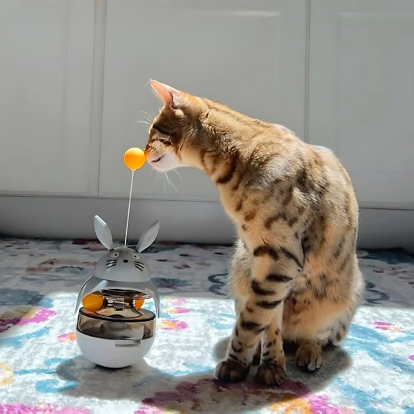 PurrPuzzle