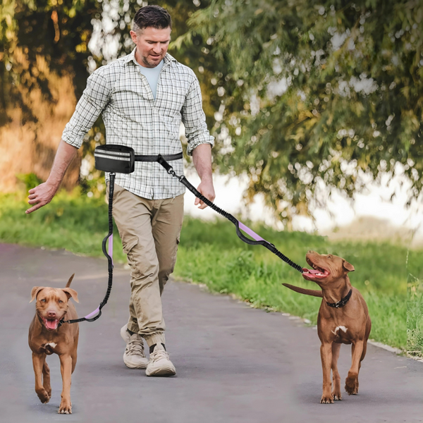 FreeLeash