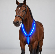 Light-Up Horse Riding Set thumbnail 3