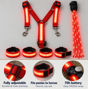 Light-Up Horse Riding Set thumbnail 4