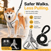 Safe Night Walk Essentials thumbnail 1