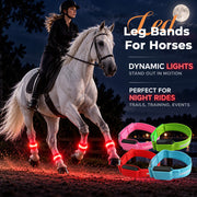 Light-Up Horse Riding Set thumbnail 6