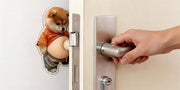 3D Cute Shiba Inu Self-Adhesive Door Stopper & Stress Ball thumbnail 15