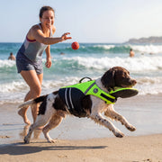 Floaty - Dog life jacket with Chinlift™ head rest thumbnail 12