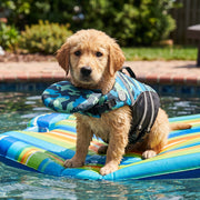 Floaty - Dog life jacket with Chinlift™ head rest thumbnail 21