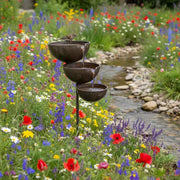 Bring Life Back To Your Garden – Rain Catcher Bird Bath 🌿🐦 thumbnail 1