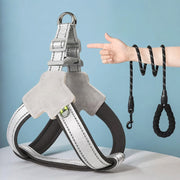 Safe Night Walk Essentials thumbnail 7