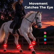 Light-Up Horse Riding Set thumbnail 7