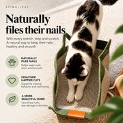 Instinct Basket | Meet the first research-backed natural territory for indoor cats thumbnail 2