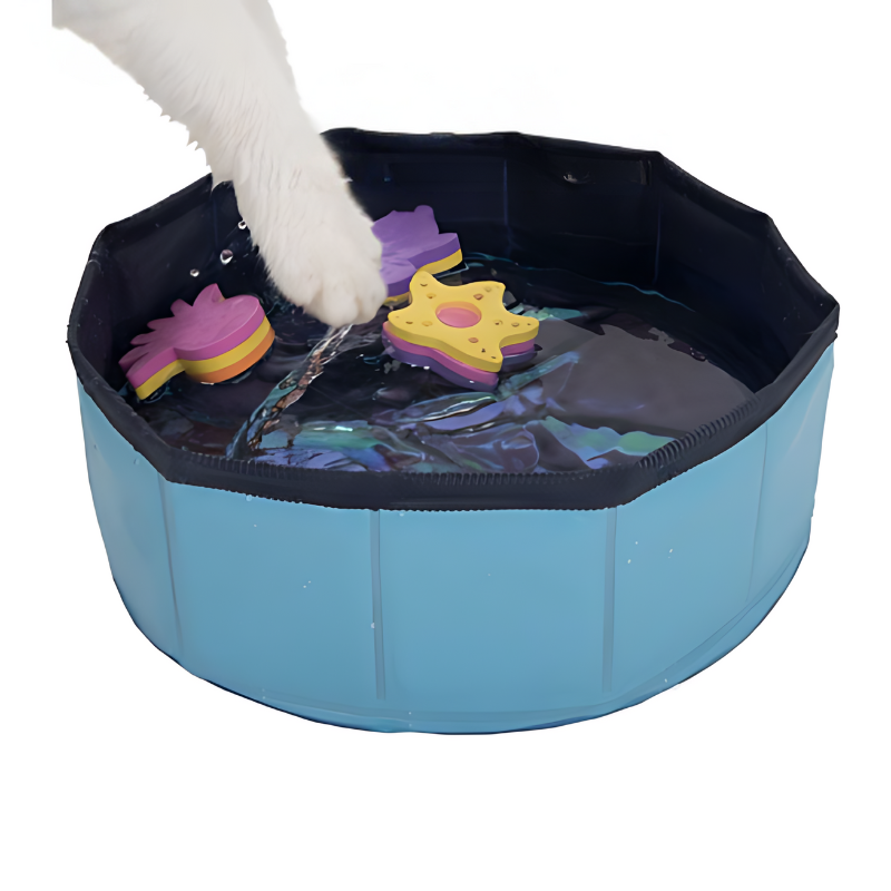 PawSplash