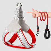 Safe Night Walk Essentials thumbnail 9