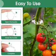 Tomato Clips, Plastic Trellis Clips thumbnail 3