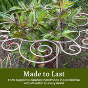 Plant Support thumbnail 3