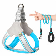 Safe Night Walk Essentials thumbnail 8