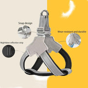 Safe Night Walk Essentials thumbnail 4