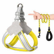 Safe Night Walk Essentials thumbnail 6