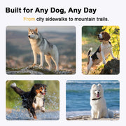 Safe Night Walk Essentials thumbnail 2
