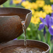Bring Life Back To Your Garden – Rain Catcher Bird Bath 🌿🐦 thumbnail 2