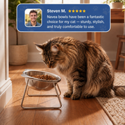 Orthopedic Feeding Bowl for Cat thumbnail 5