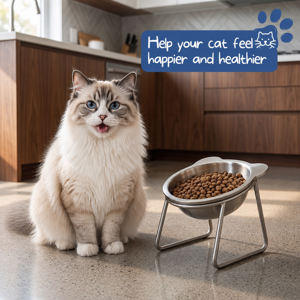 Orthopedic Feeding Bowl for Cat