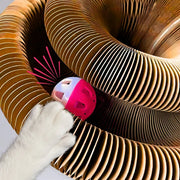 Kitty Kurlz | The Ultimate Cat Toy for Play, Scratch & Exercise thumbnail 3