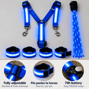 Light-Up Horse Riding Set thumbnail 5