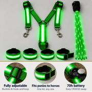 Light-Up Horse Riding Set thumbnail 2