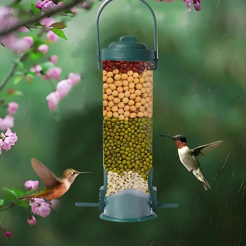FeedNest
