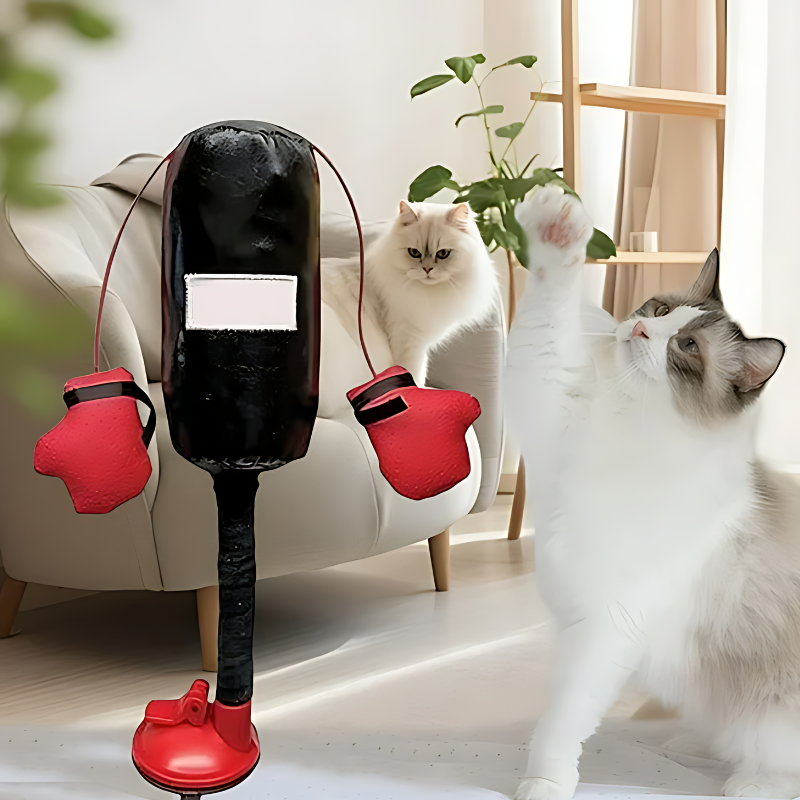 BoxPaw