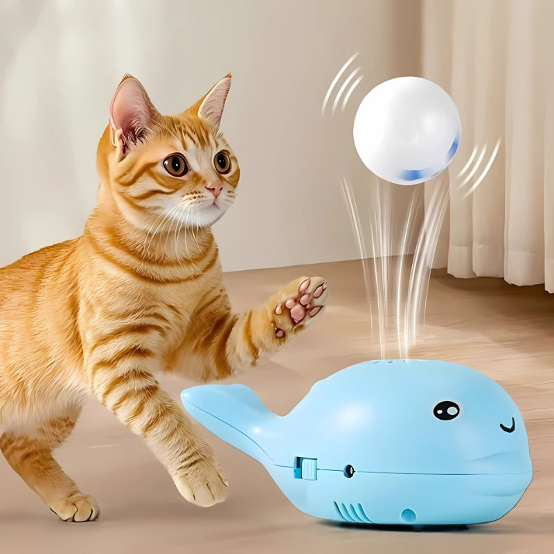 Floaty