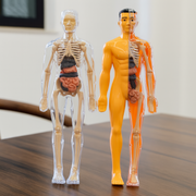 BodyQuest thumbnail 1
