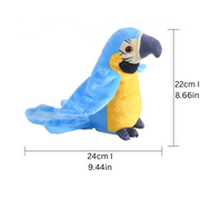 ChatterBird thumbnail 2