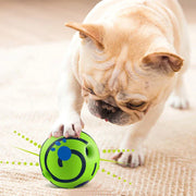 WonderBall thumbnail 1