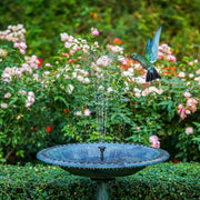 Solar Bird Bath Fountain Pump thumbnail 2