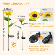 SolarSunflower® | Solar-Powered Sunflower Lights thumbnail 4