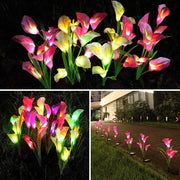 Decorative Garden Solar Lily Lights thumbnail 2