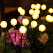 Solar Dandelion Garden Lights thumbnail 5