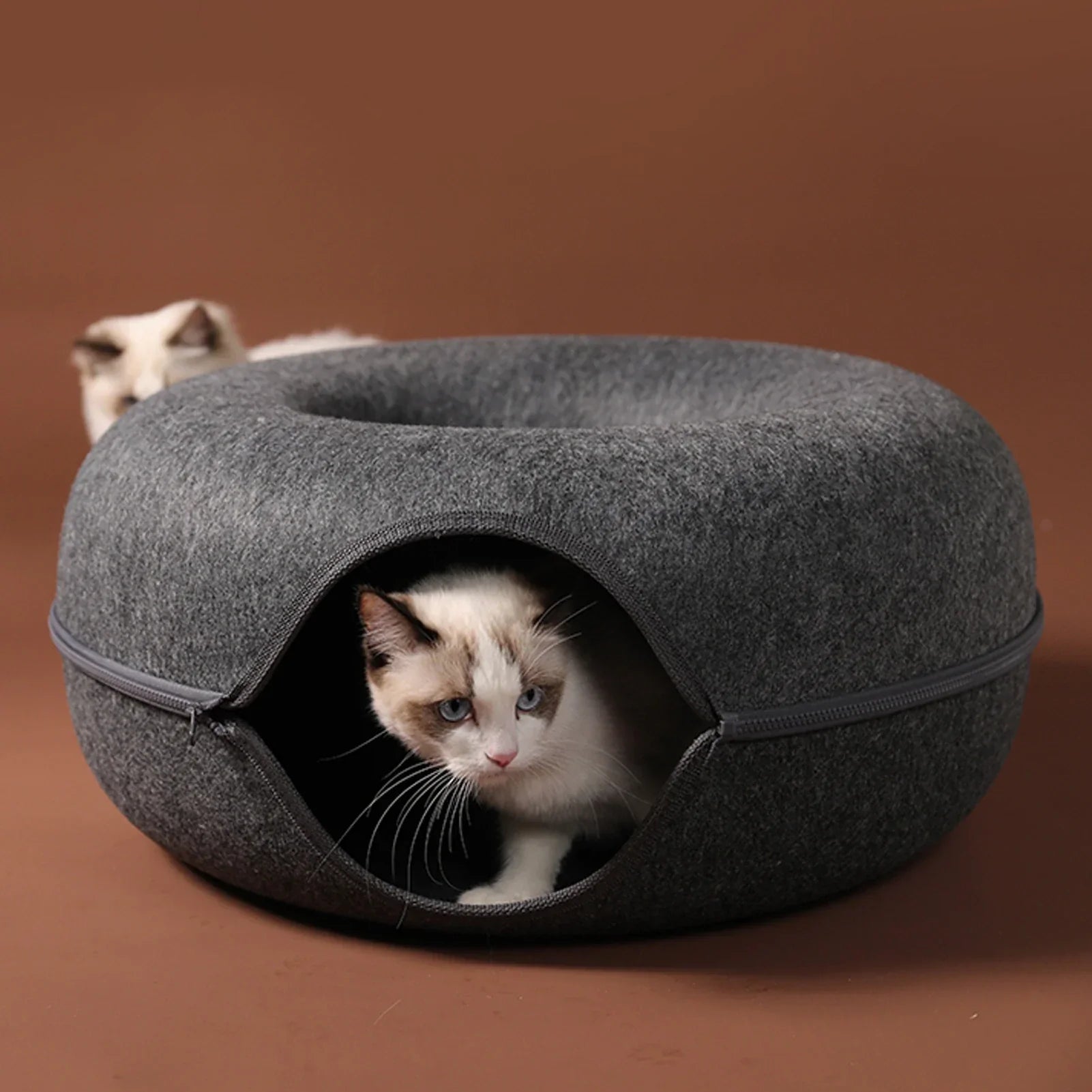 FurDonut