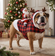 Christmas Dog Costume thumbnail 6