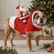 Christmas Dog Costume thumbnail 1