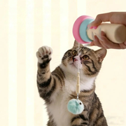 Fischolio thumbnail 1