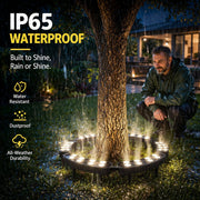 🌳 LED Ring Tree Light(Single piece) | Outdoor Waterproof Landscape Spotlight thumbnail 5