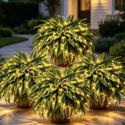 Glowing Boston Ferns with Lights – 🌿 Zero Watering, Zero Maintenance thumbnail 13