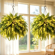 Glowing Boston Ferns with Lights – 🌿 Zero Watering, Zero Maintenance thumbnail 15