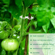 Tomato Clips, Plastic Trellis Clips thumbnail 7