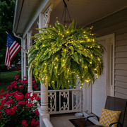 Glowing Boston Ferns with Lights – 🌿 Zero Watering, Zero Maintenance thumbnail 1