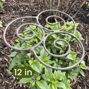 Plant Support thumbnail 6