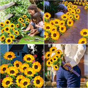 Triple-Head Solar-Powered Sunflower Lamp thumbnail 2