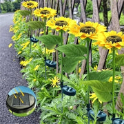 Triple-Head Solar-Powered Sunflower Lamp thumbnail 17
