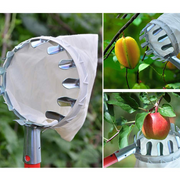 Fruit Picker with Collection Basket thumbnail 4